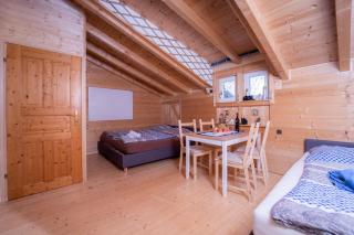 Kleine Alpenhütte in Lend 2024 neben der Salzach - Lend - 7