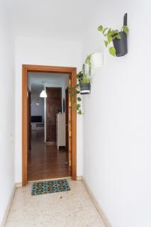 Icod de los Vinos Centro - 8