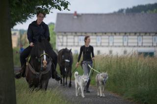 Camping-Stellplatz auf dem Bauernhof für Wohnmobil und Caravan bis 8m Länge - ohne Zimmer - 5