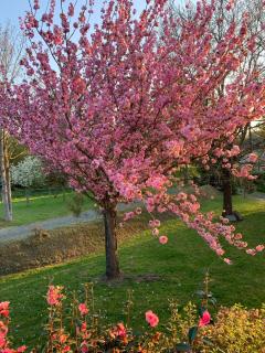 Le Logis de la Lettre - 1