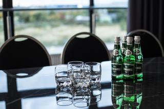 Południk Park Conference&Spa - Boutique Hotel - 7