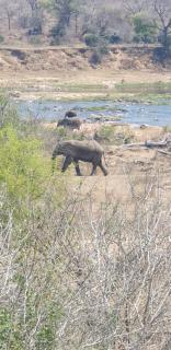 Stoep At Kruger - 9