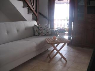 Casa Danesa - Cityhouse at the Palm Tree - 8