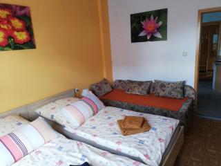 Apartment in Ilmenau 42915 - Ilmenau - 5