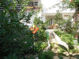 Apartments in Dramalj 42945 - 5