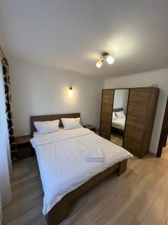 Gold Apartments - Baia Mare - 5