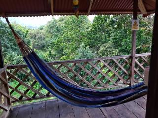 Deep Forest Posadas Ecoturisticas - 5