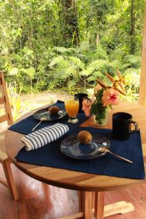 Finca Ardilla Jungle Lodge - Cocles - 9
