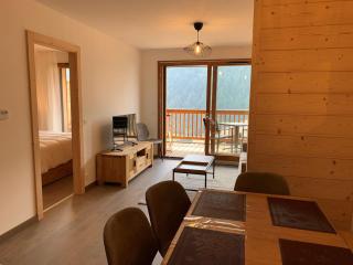 Magnifique 2 pièces équipé avec garage privé à Châtel - FR-1-198-239 - Châtel - 1