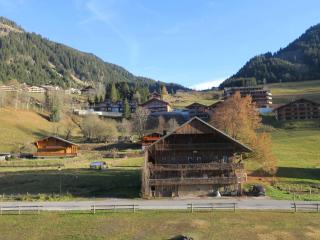 Appartement lumineux, 6 personnes avec balcon, parking, WiFi à 900m du centre de Châtel - FR-1-198-233 - 5