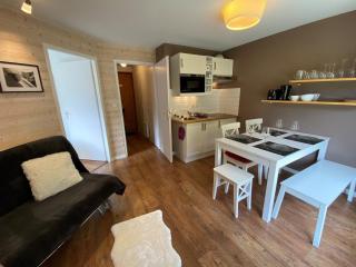 Appartement moderne avec terrasse et parking, près des pistes, pour 6 personnes - FR-1-198-217 - Châtel - 2
