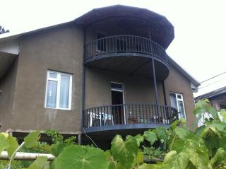 Grimis Villa - Borjomi - 3