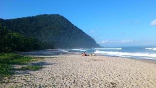 Apartamento Guaruja Enseada - Guarujá - 1