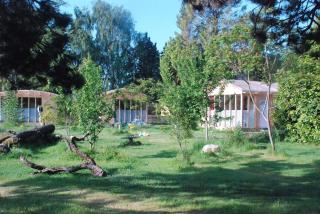 Hotel Rose - 7
