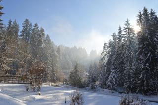 Ferienhaus Oitzl - Nötsch - 3