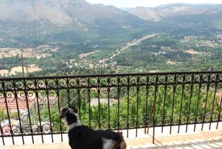 Vintage relaxing Villa with garden & amazing view! - Ferendináta - 8