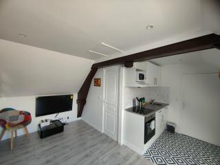 Les Lofts De Provins: Apt 6 - 2