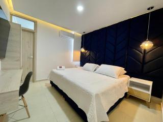 HOTEL PROVINCIA PLAZA - San Juan del Cesar - 6