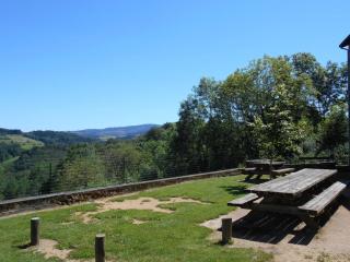 Retraite en Montagne Bourbonnaise: Gîte Convivial pour 14 Pers., Proche Loisirs et Nature - FR-1-489-343 - La Chabanne - 9