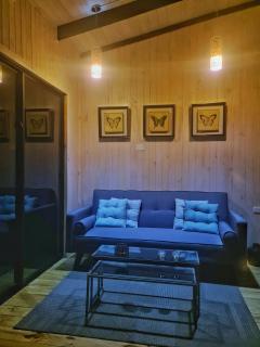 Loft Puro Ranco - Lago Ranco - 1