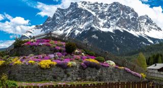 Alpinum Hostel - Biberwier - 0