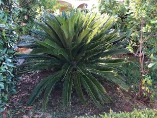 Holiday home in Klimno - Insel Krk 42238 - 4