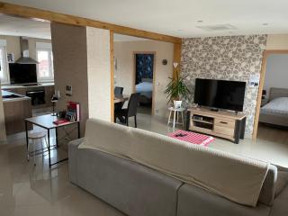 Appartements centre ville Colmar 4 familles - Colmar - 0