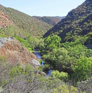 Cango Retreat Quiet - Oudtshoorn - 8