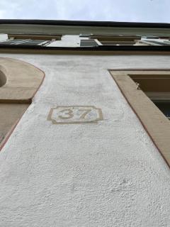 königsnachbar - Ludwigsburg - 8