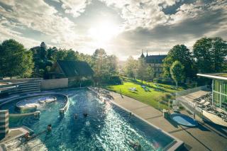 Park-Hotel am Rhein - Gesundheitshotel und Residenzen - Rheinfelden - 3