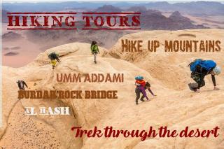 Wild of Wadi Rum - Wadi Rum - 7