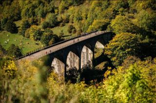 Lomas Cottage - 6