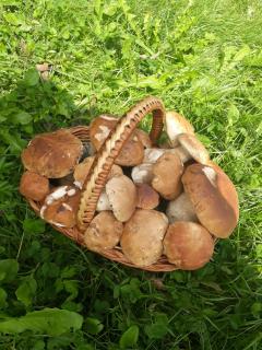 Pensiunea Casa Fierarul din Bucovina - 3