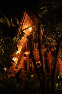 Cinnamon Paradise - 1