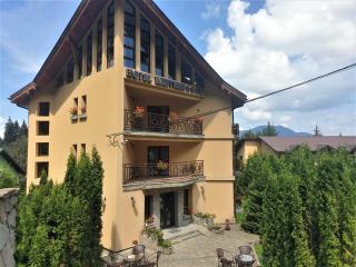 Hotel MEITNER - Predeal - 9