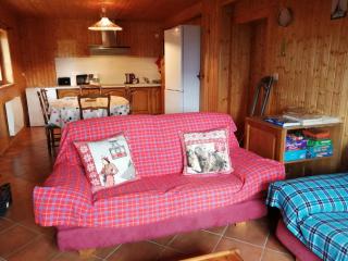 Bel appartement au rez de chaussée d'un chalet - 8