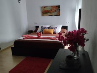 Casa Salvadora - Algar - 7