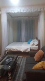 Woodgreek Studio Apartment 4B27 - Kisii - 0