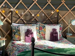 Thistlebank Yurt - 1