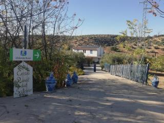 Vivienda rural del salado - Jaén - 9