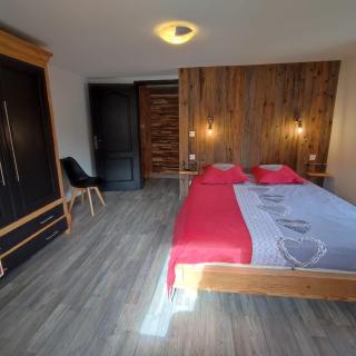 Gîte du pré forestier - Saulxures-sur-Moselotte - 6