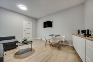 Central Platinum Apartments 22 - Rybnik - 9
