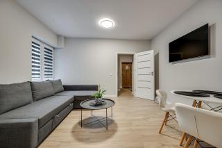 Central Platinum Apartments 22 - Rybnik - 7