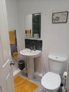 Victorian Renovation Room 1 - 1
