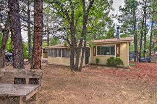 Show Low Cabin with Fire Pit Near Hiking! - Show Low - 8