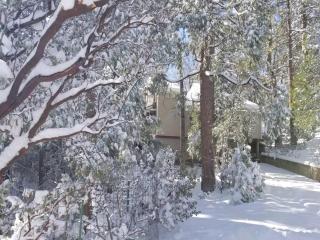 CASA de los ARBOLES! Delight & Solitude Abound! - Pine Cove - 3
