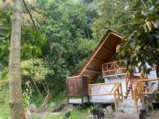 El Refugio del Oso de Anteojos - Fómeque - 1