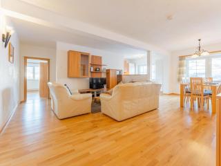 Vicky Apartment Large - Niederau - 8