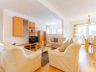 Vicky Apartment Large - Niederau - 9
