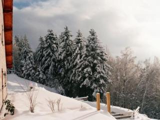 Gîte spacieux, confort moderne, 8 pers, terrasse privative, animaux admis, WiFi - FR-1-589-227 - 2